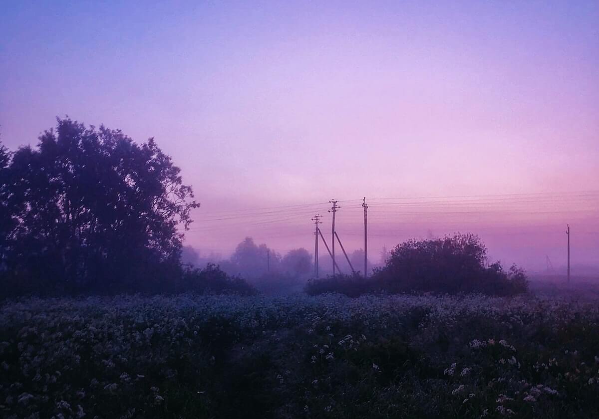 关于樱花动漫：不把权威符号有没有在撑场弄清，我不会往下读——先把证据按强弱排队